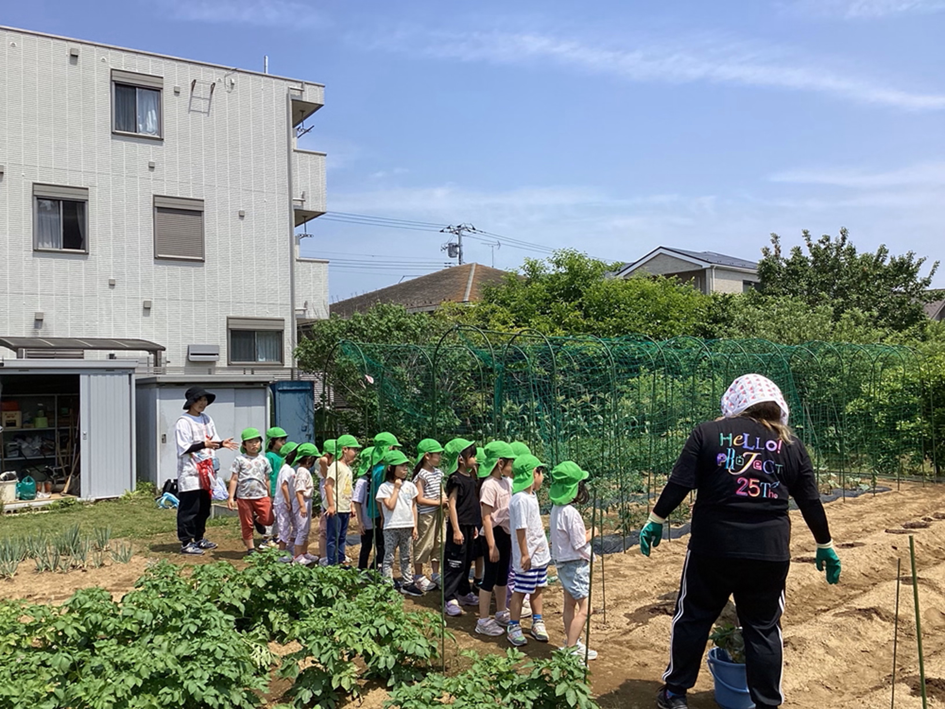 芋苗植え🌱