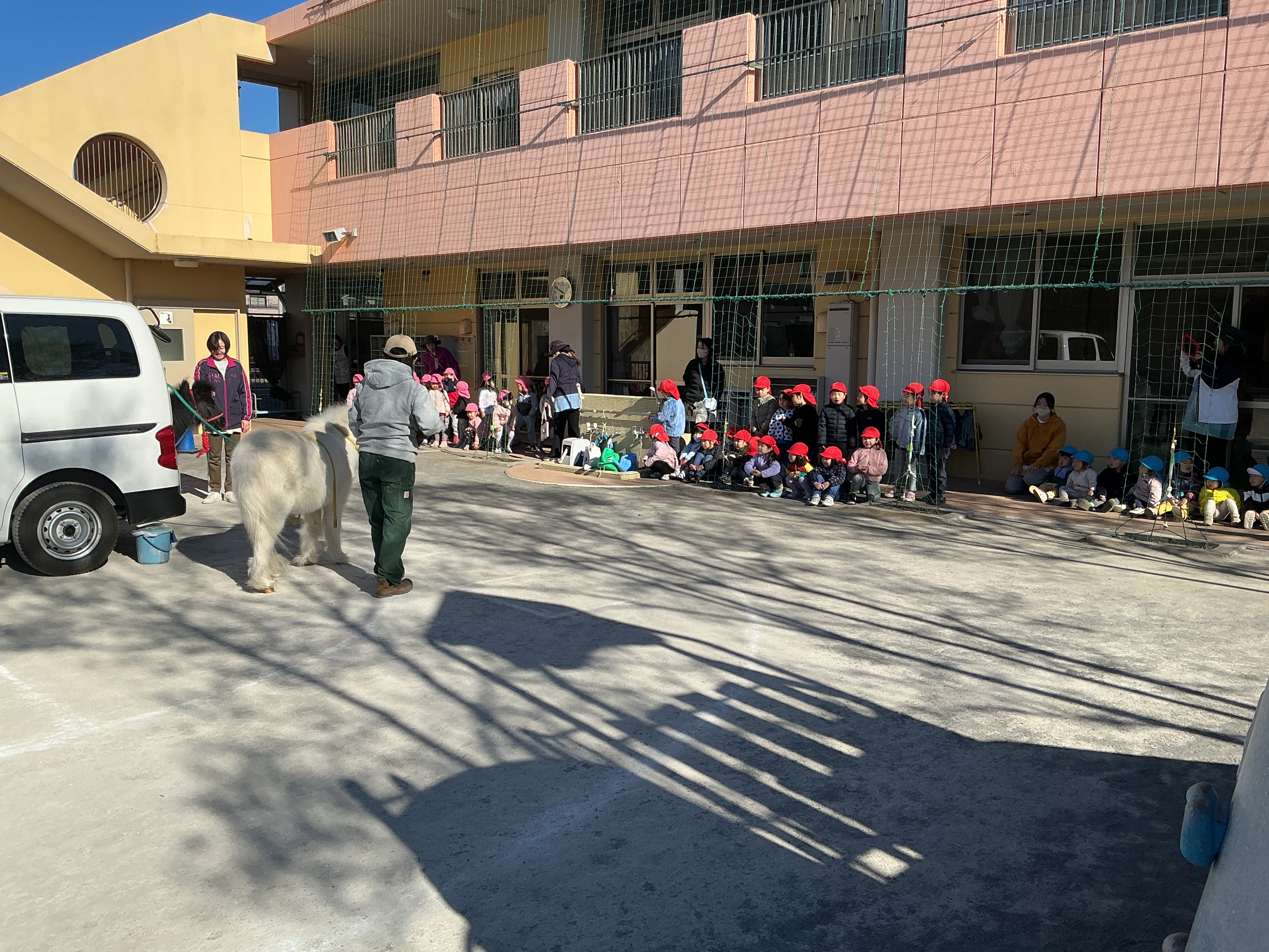 リトルホースがきたよ🐴